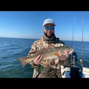 Meet your Posher, Vincent